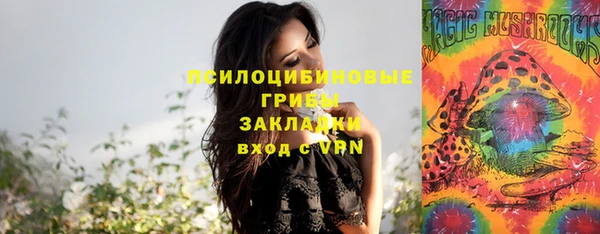 mdpv Арсеньев