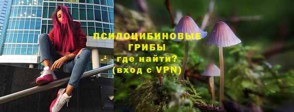 mdpv Арсеньев