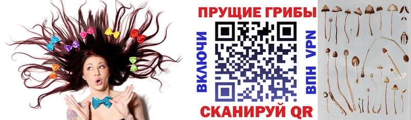 Галлюциногенные грибы ЛСД Уяр
